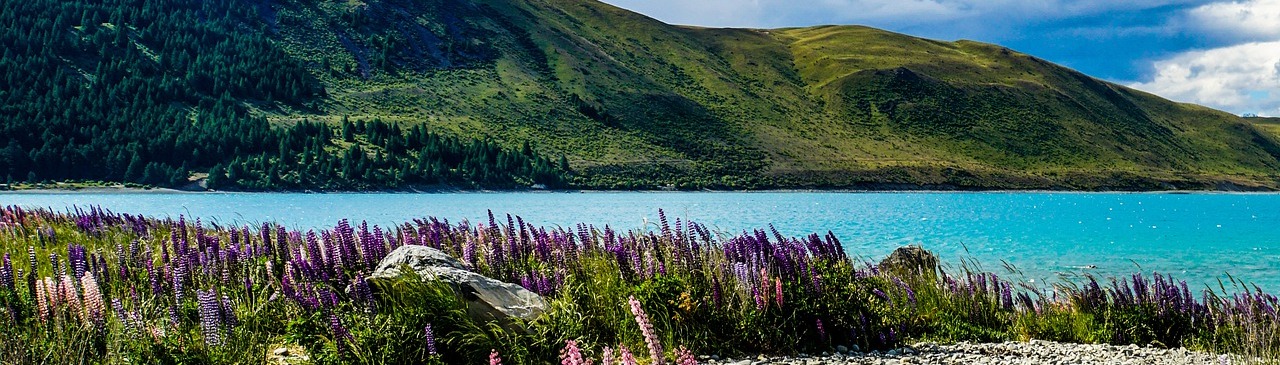 Lake Tekapo